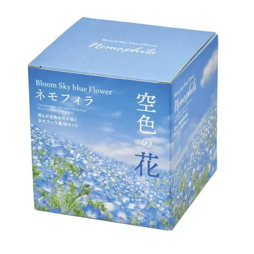 [4528757039143] Bloom Sky Blue Flower (Nemophila) Cultivation Set